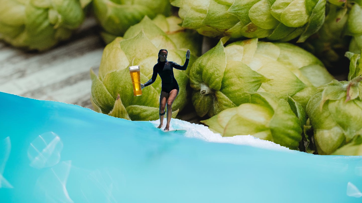 artist image of wave pool, beer and hops