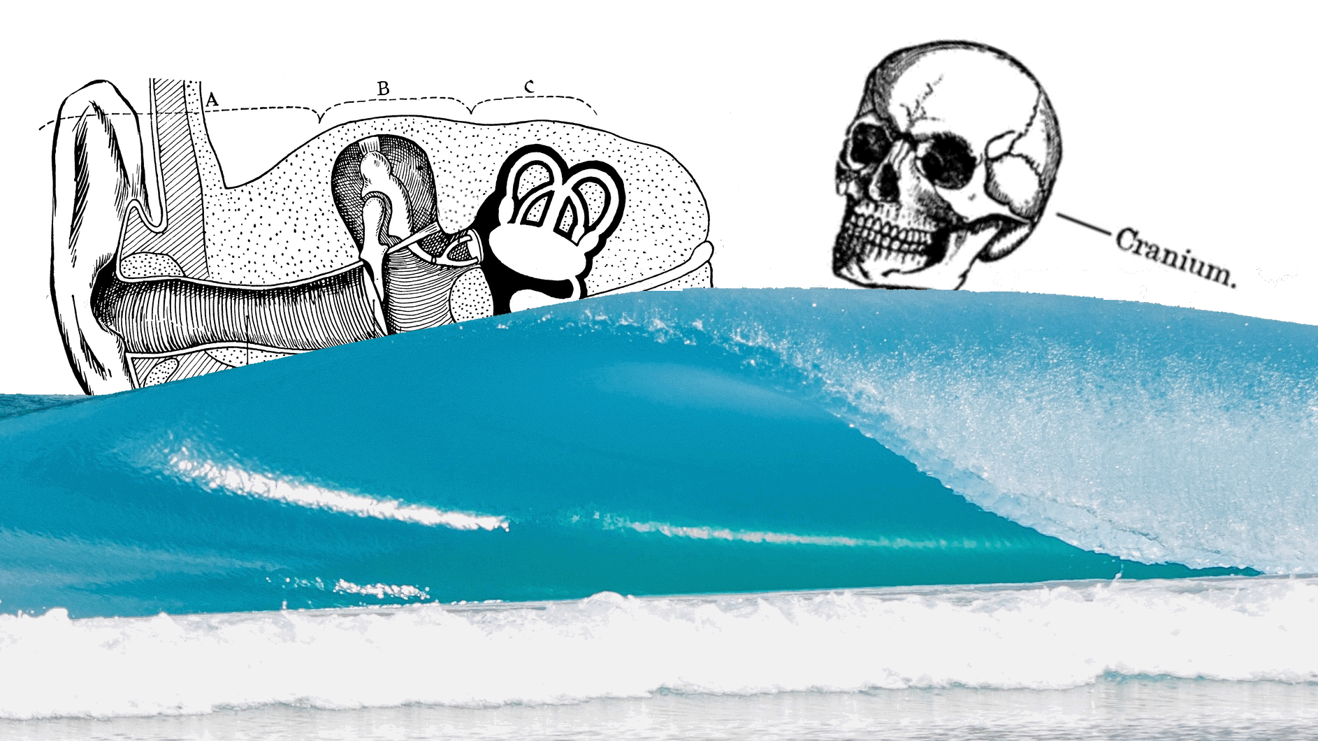 surfers ear art image